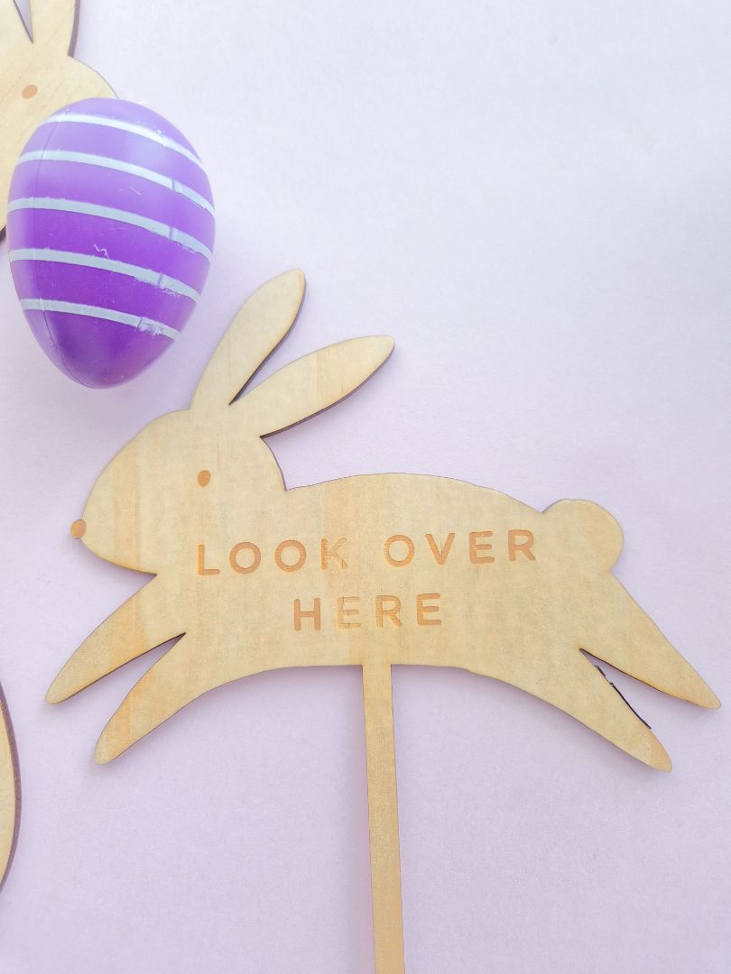 AXN Laser Creations Easter Egg Hunt Kit (4 Signs), Plywood