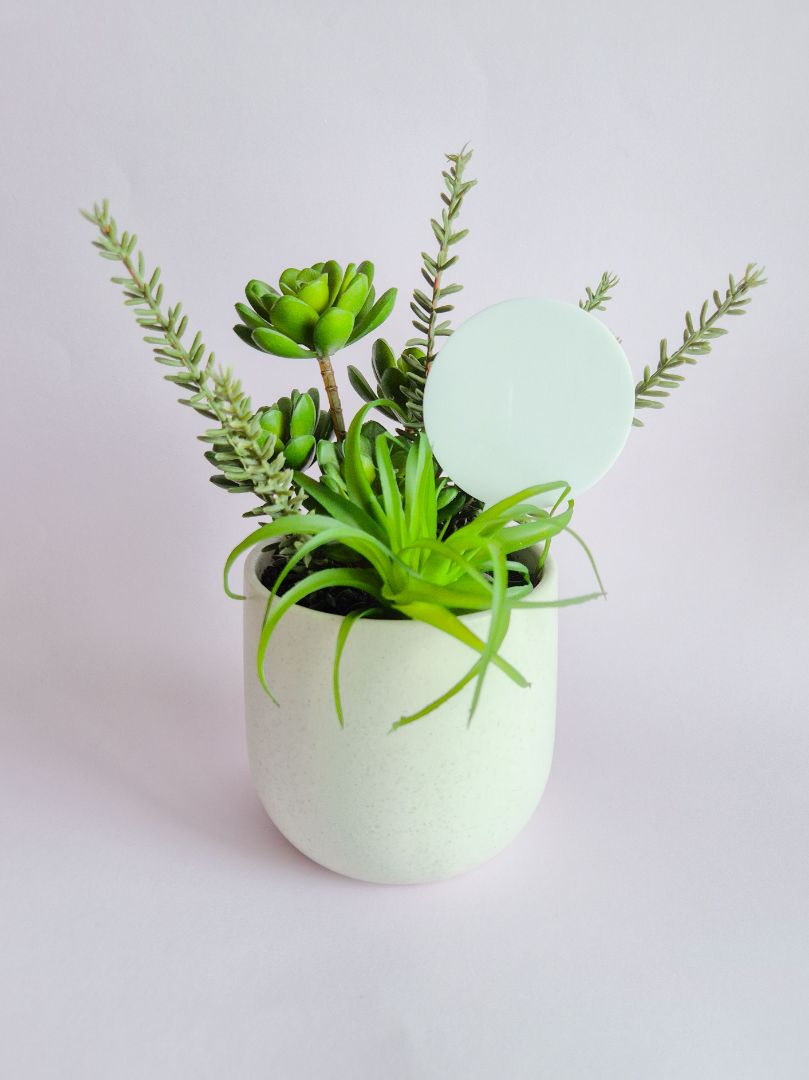 AXN Laser Creations Plant Stake Round Blank