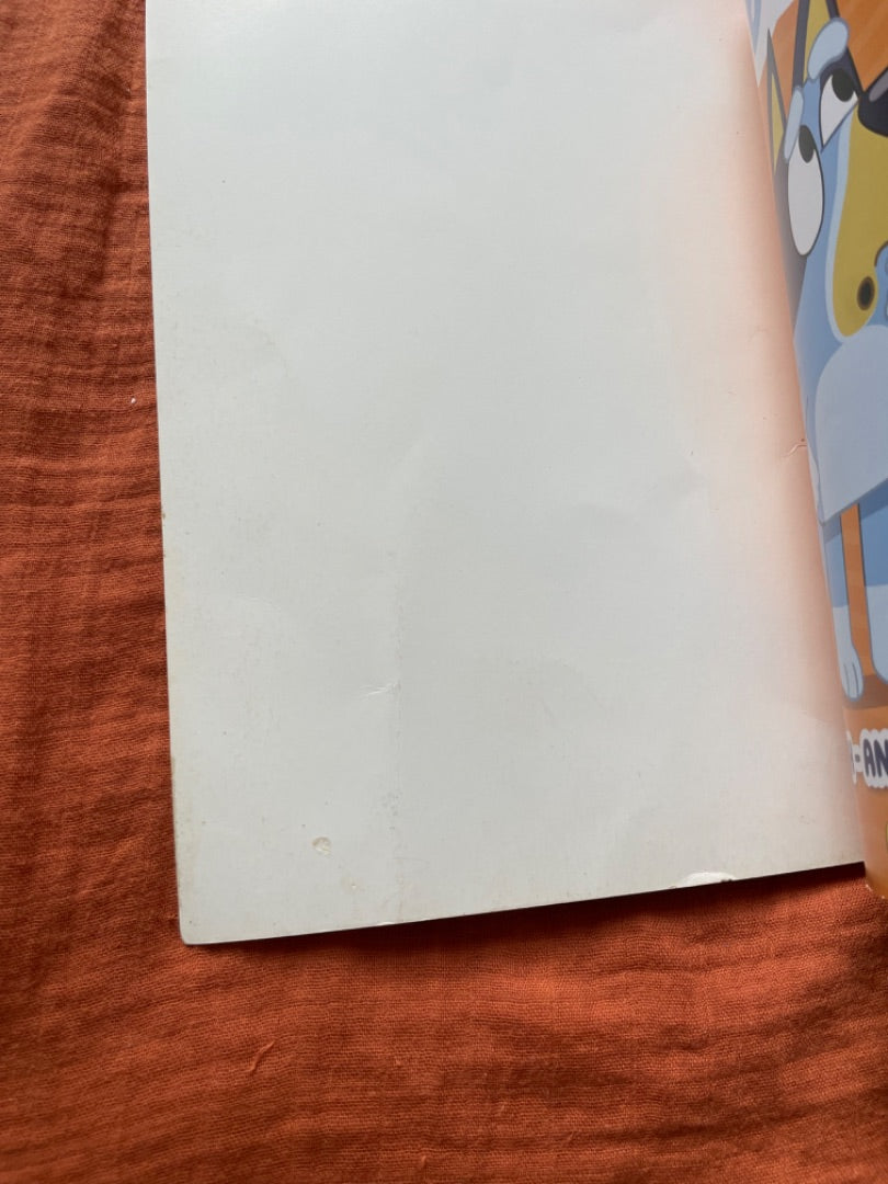 Thrifted Stories Bluey Bundle