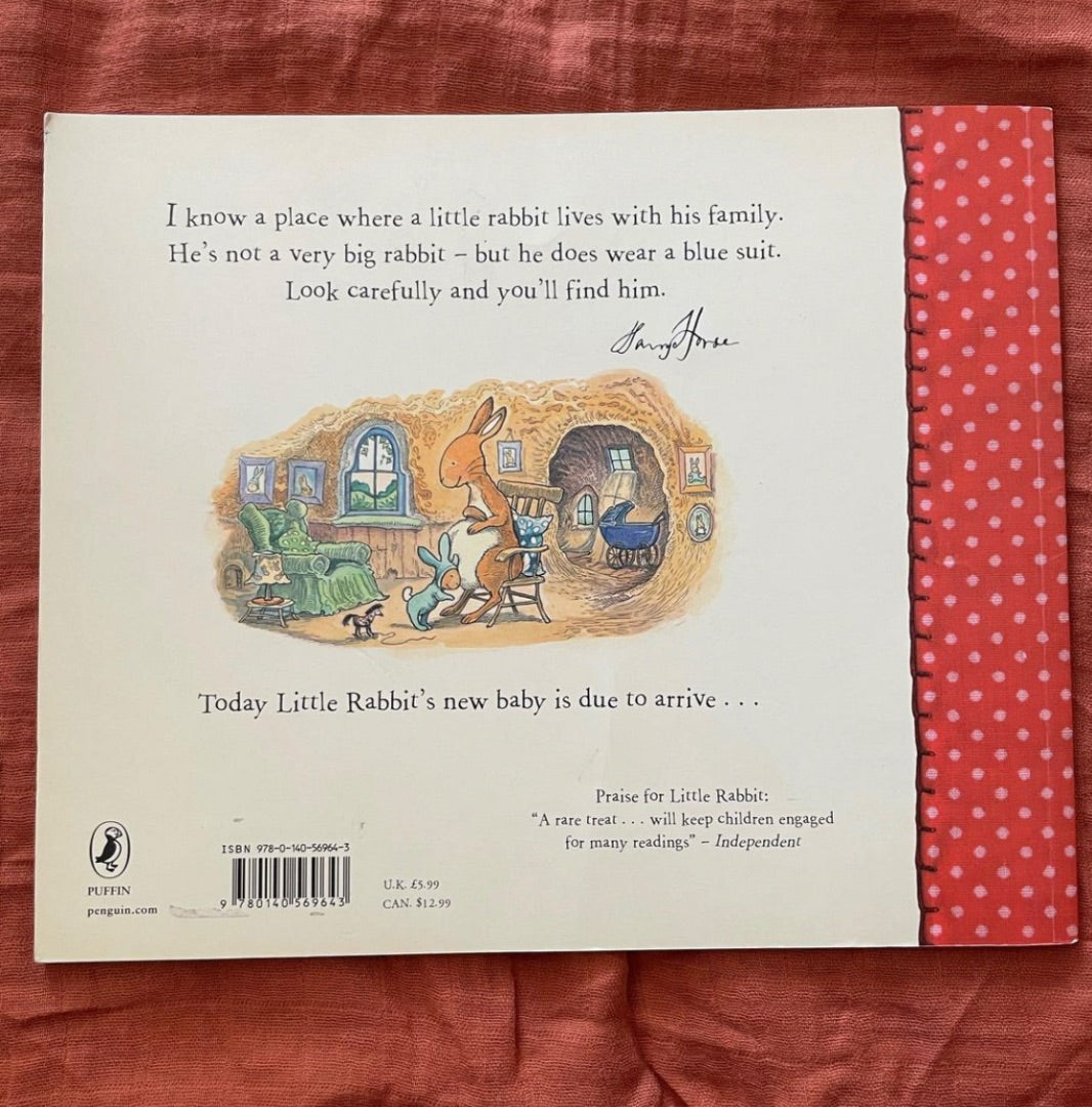 Thrifted Stories Little Rabbit's new baby