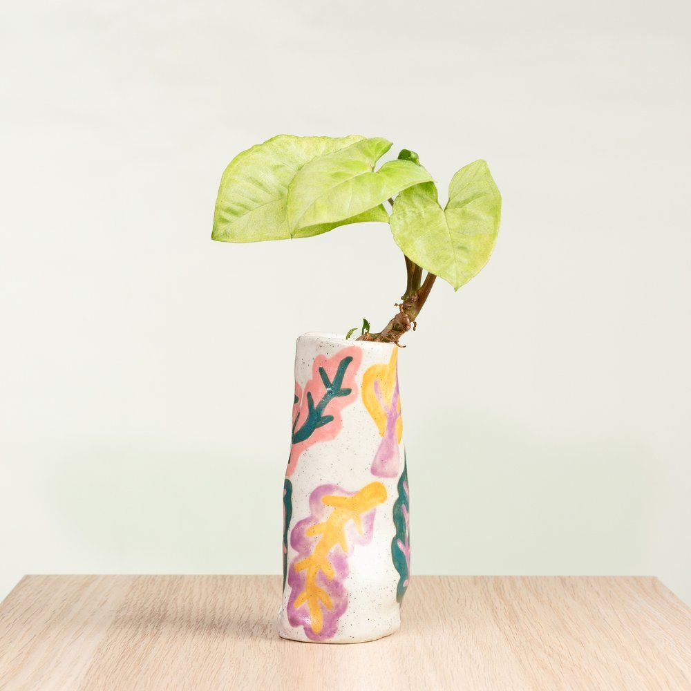 hellomae Rainbow Chard Mini Vase