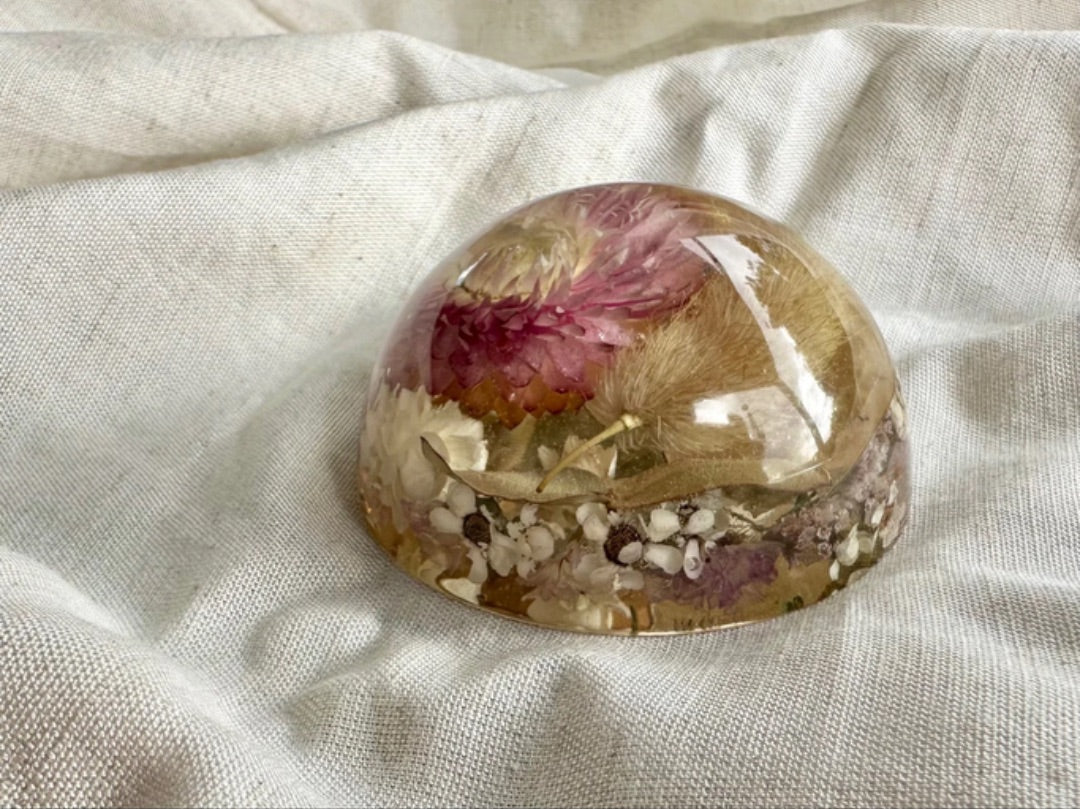 Oak & Thistle Botanical Dome, Pink, neutrals, orange