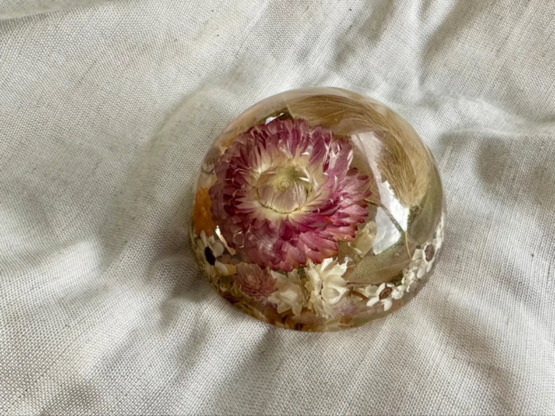 Oak & Thistle Botanical Dome, Pink, neutrals, orange