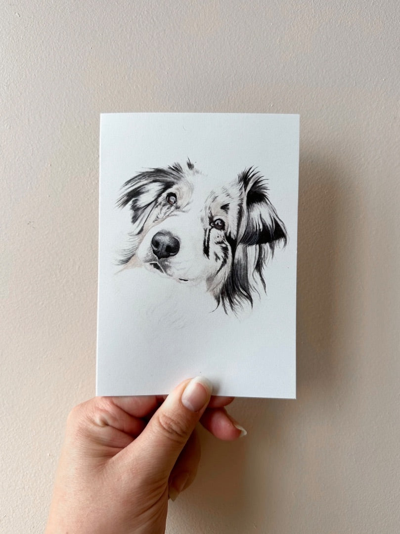 Annalise Paints Fira the Aussie Shepherd