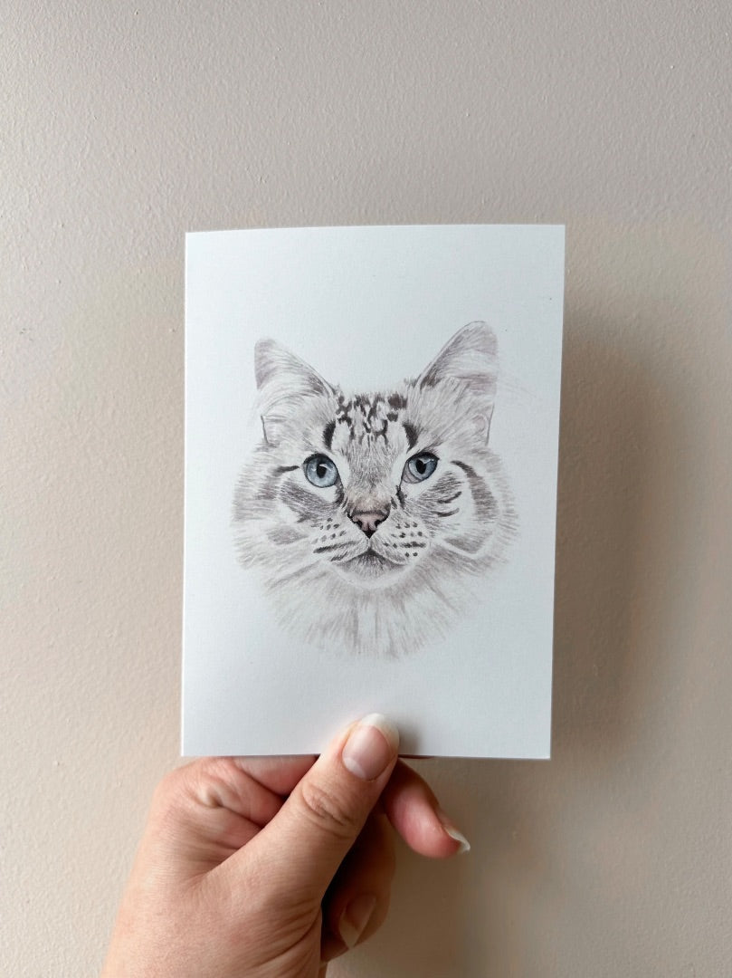 Annalise Paints Maeve the Moggy