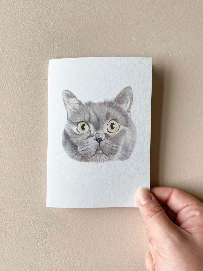 Annalise Paints Elliot the British Short Hair