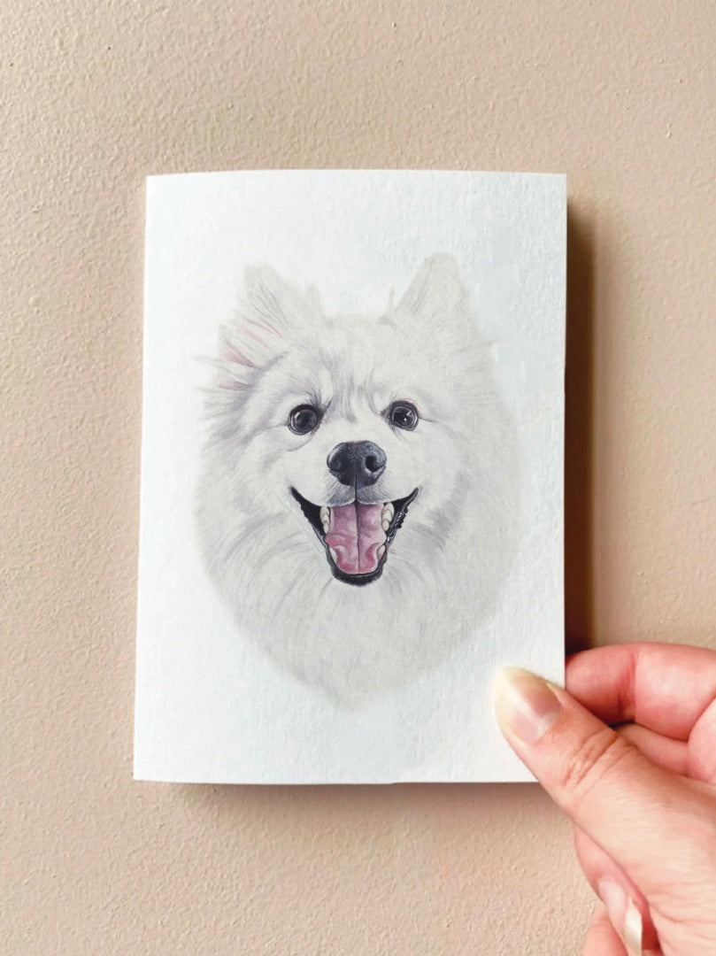 Annalise Paints Yuki the Japanese Spitz