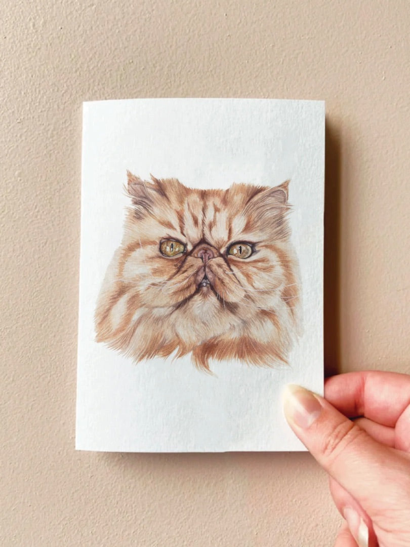 Annalise Paints Crookshanks the Persian