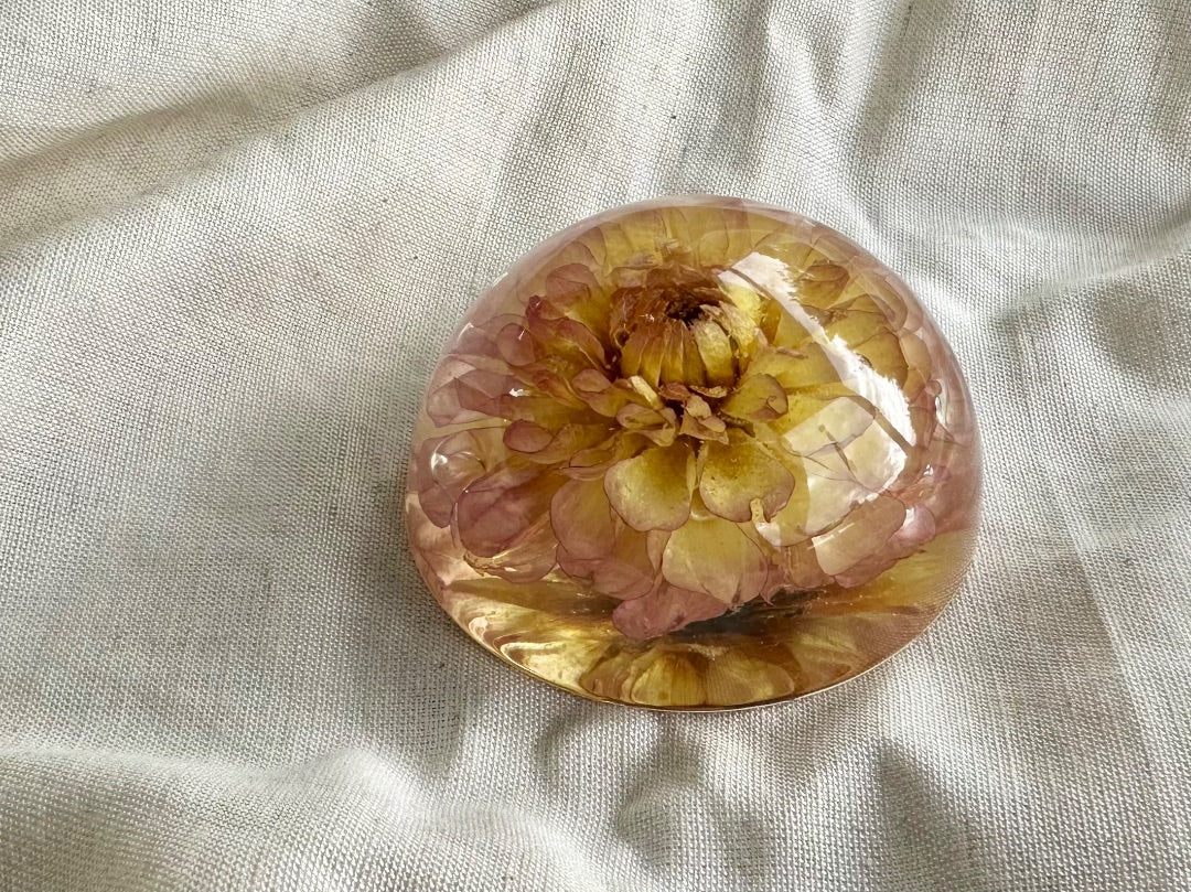 Oak & Thistle Botanical Dome, Pink, yellow