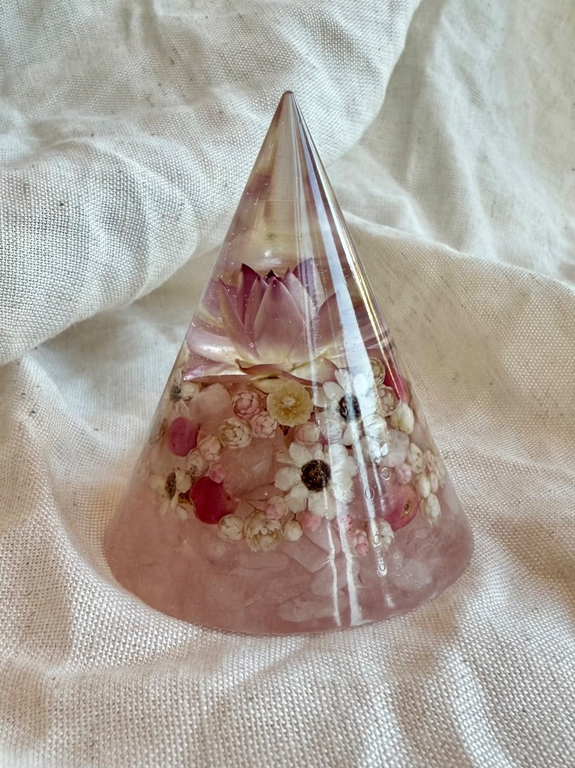 Oak & Thistle Ring Cone, Pink, cream