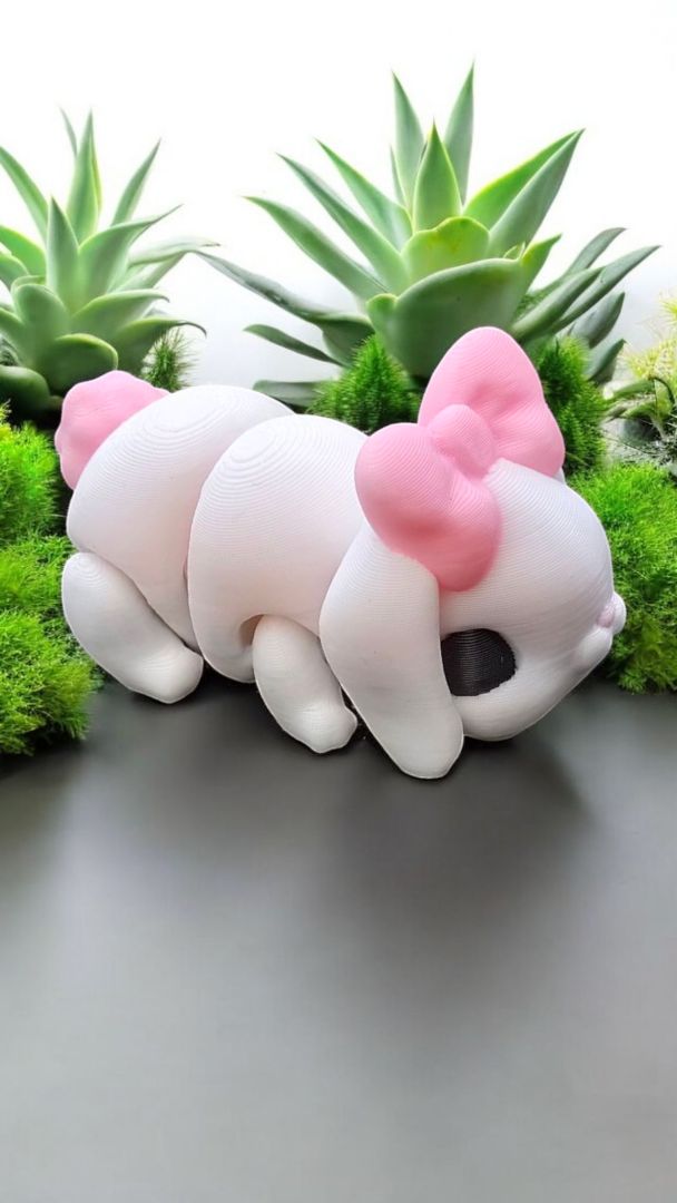 3D Bunny