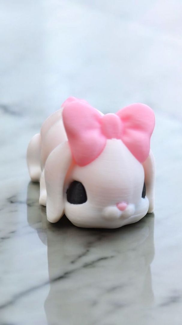 3D Bunny