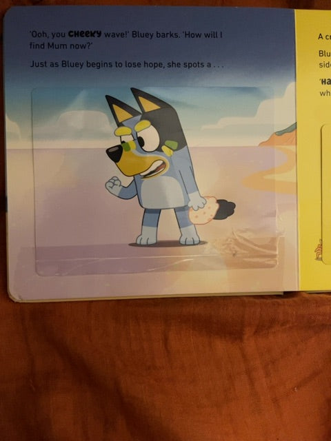 Thrifted Stories Bluey- the beach