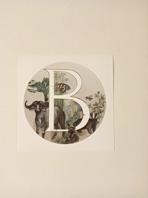 Mini print B, 12.7cm square