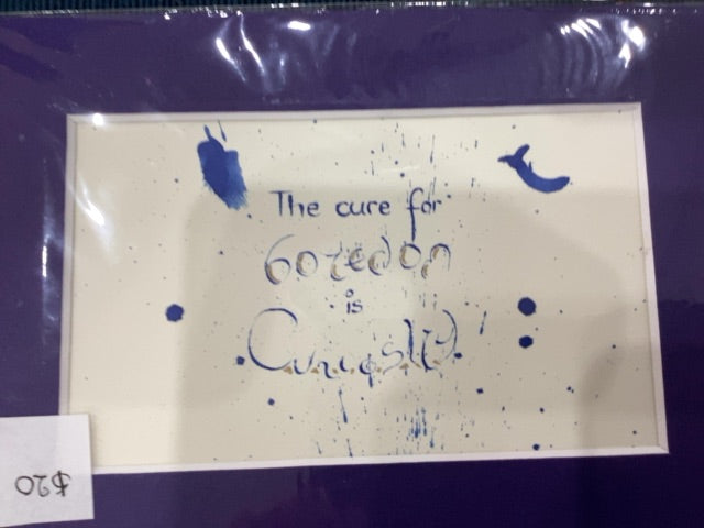 The cure for boredom is curiosity