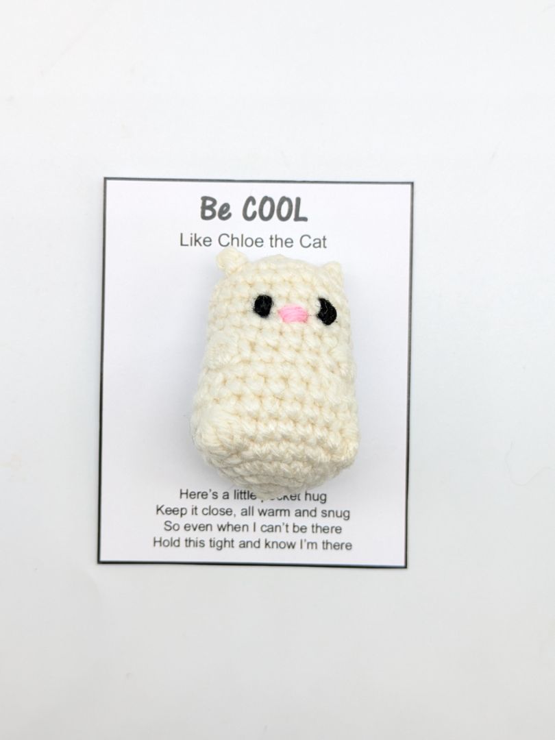 Mon Ami Crochet Pocket Hug Cat