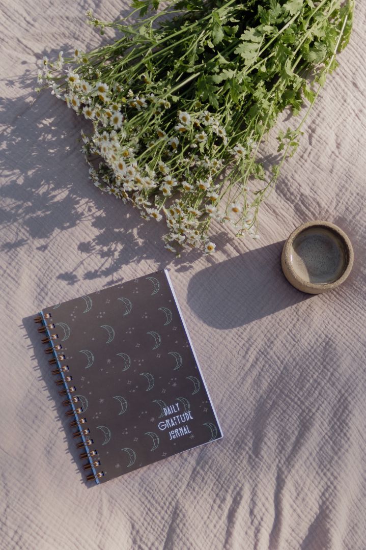 Daily Gratitude Journal | Conscious Mae