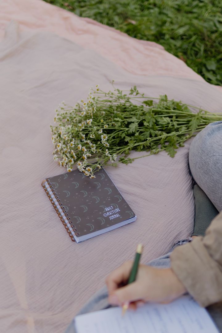 Daily Gratitude Journal | Conscious Mae