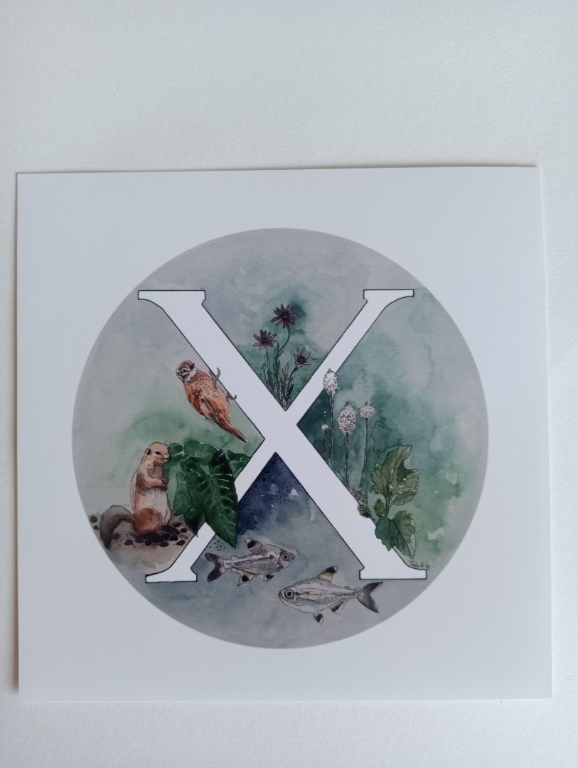 Mini print X,   12.7cm square
