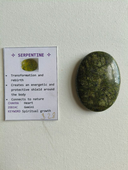 CasaDellaGemma Serpentine Palmstone,  Speckled green 6.5cm x 5cm