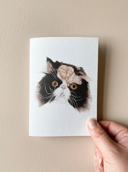 Annalise Paints Anastasia the Calico