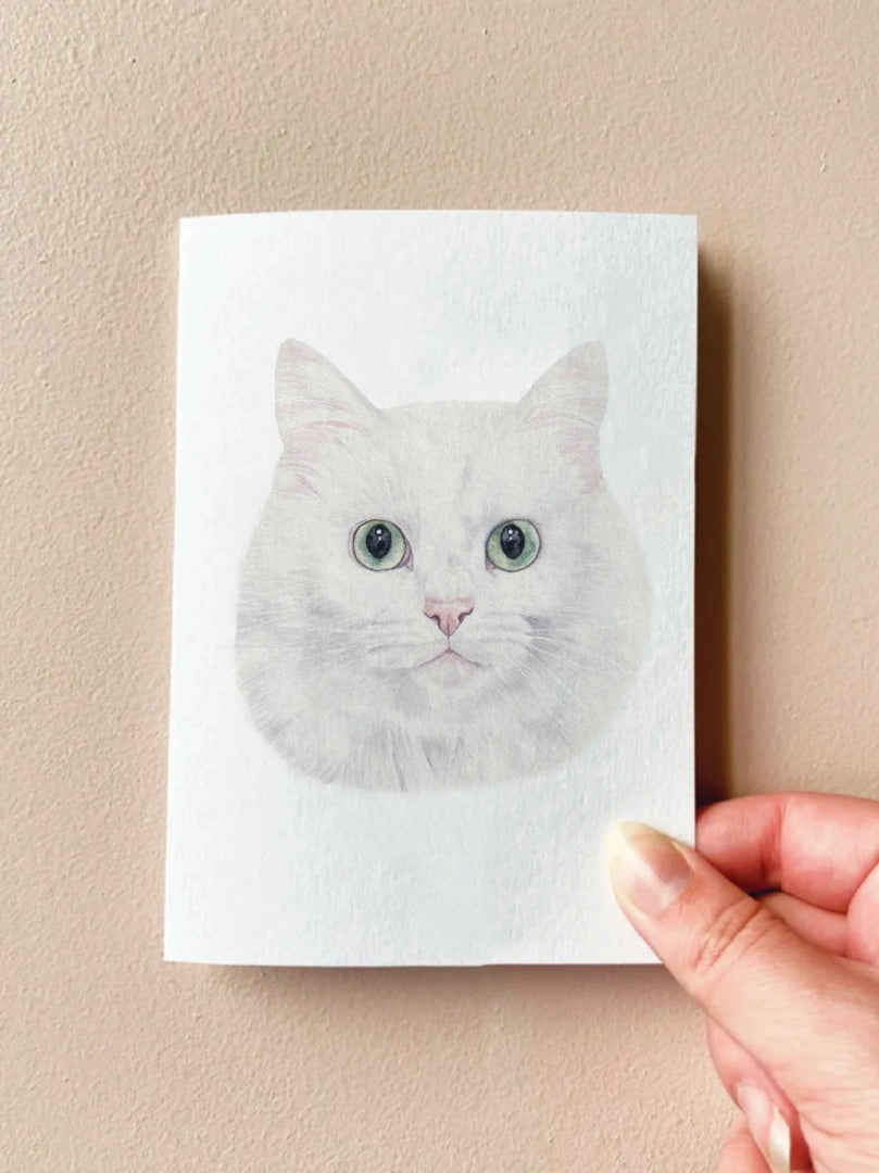 Annalise Paints Tia the White Cat