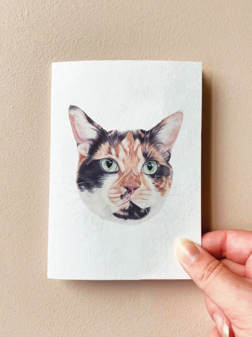 Annalise Paints Sushi the Tortishell
