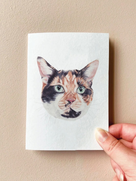 Annalise Paints Sushi the Tortishell