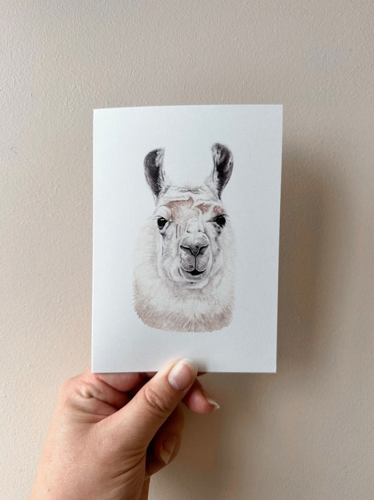 Annalise Paints Sasha the Llama
