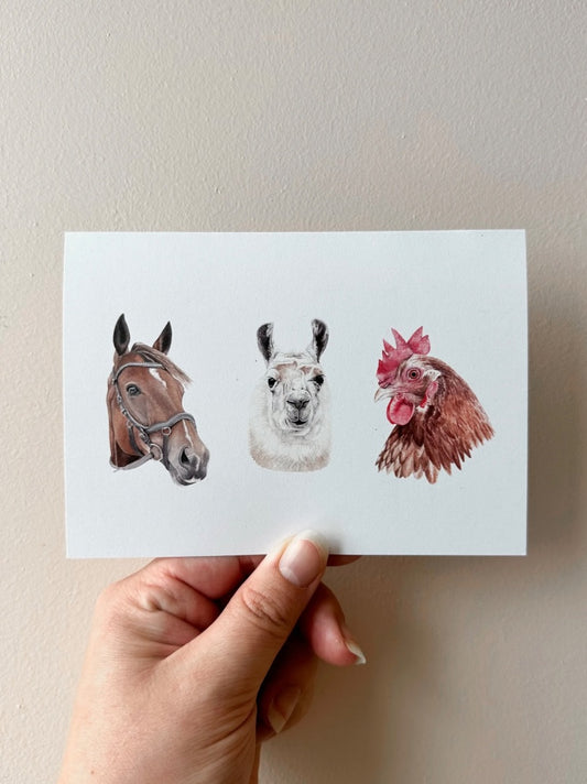 Annalise Paints Meet the Farm Yard Friends