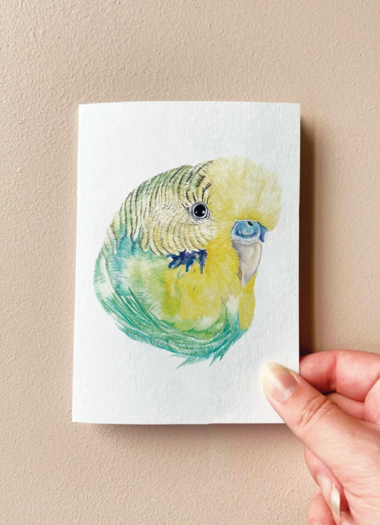 Annalise Paints Axel the Budgie