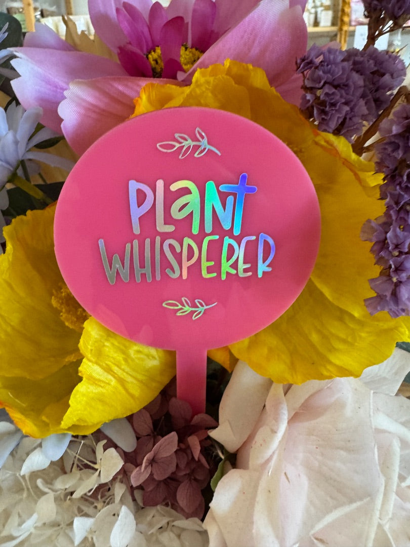 Oopsie Daisy Collections Plant whisperer stake,  Pink