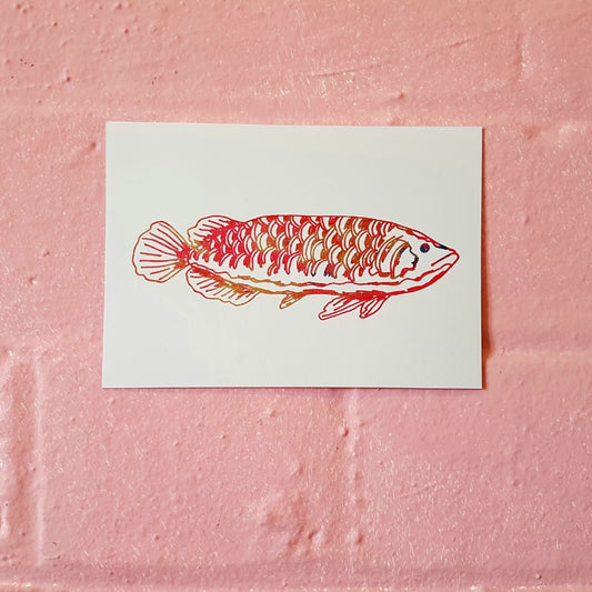Tegan Iversen Fish gocco print,   14.5cm x 10cm