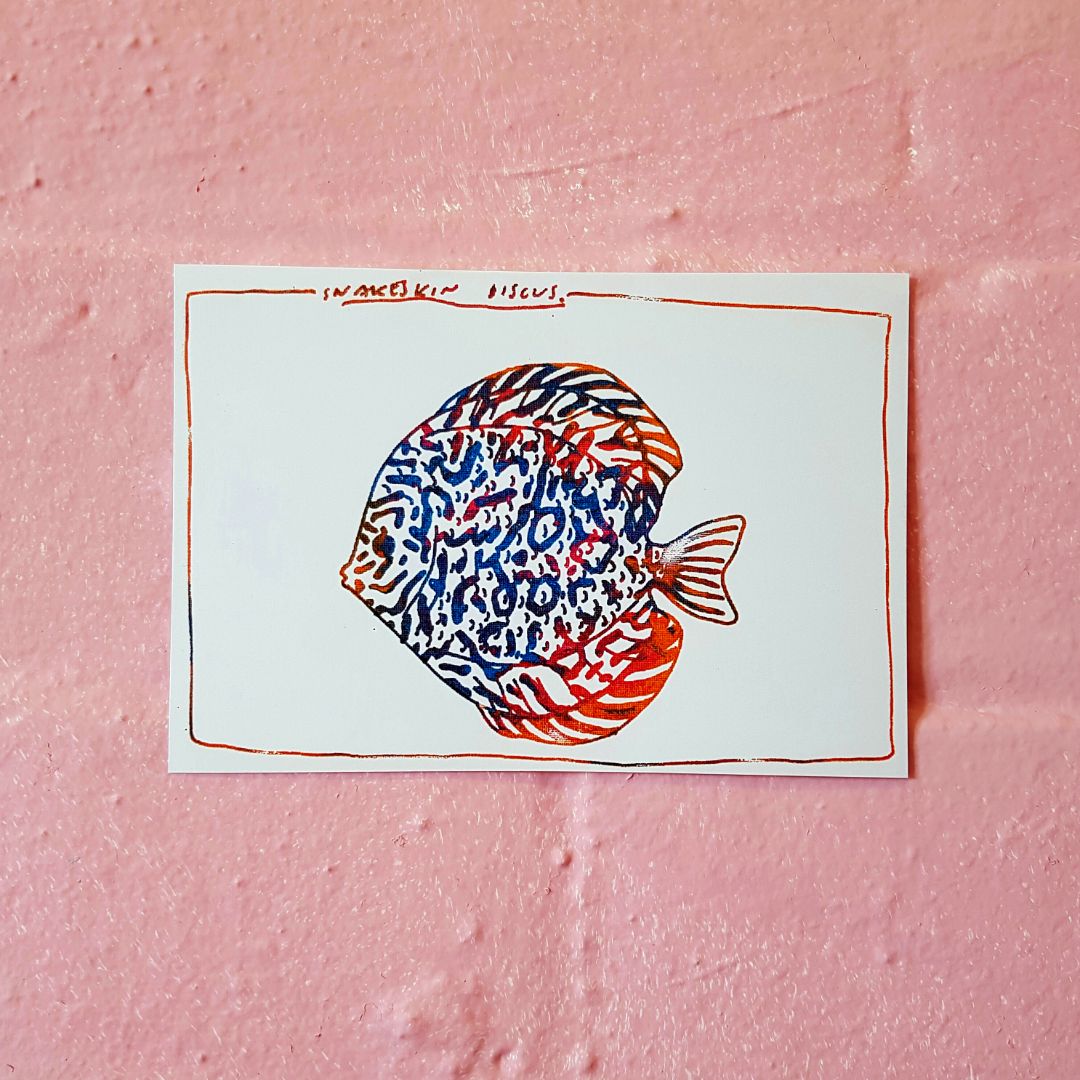 Tegan Iversen Snakeskin discus gocco print,   14.5cm x 10cm