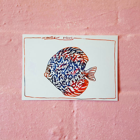 Tegan Iversen Snakeskin discus gocco print,   14.5cm x 10cm